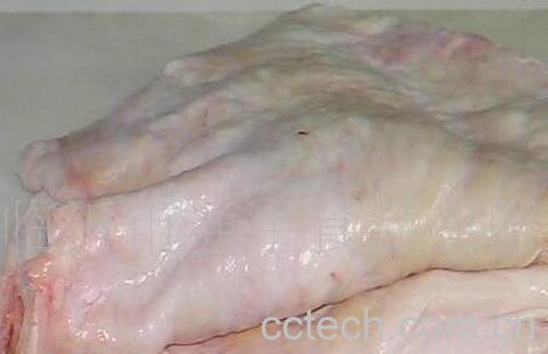 猪板油的功效与作用-0