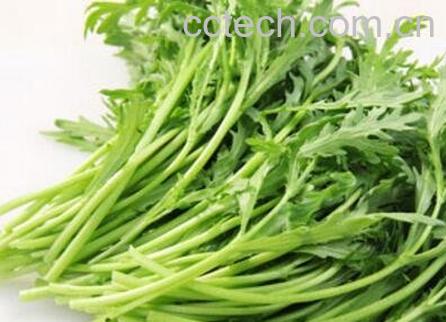 蓬蒿菜的功效与作用-0