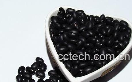 黑豆的功效与作用 黑豆的营养价值-0