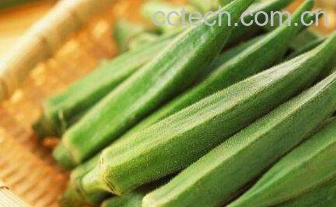 羊角菜的功效与作用-1