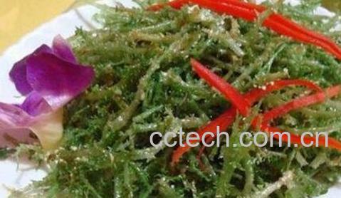 鹿角菜的功效与作用-0