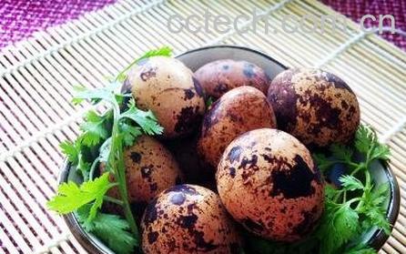 鹌鹑蛋的营养价值 吃鹌鹑蛋的好处-0