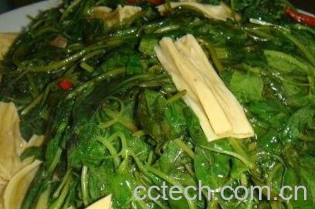 荆棘菜的功效与营养价值-0