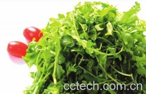 荠菜的功效与作用及禁忌-0