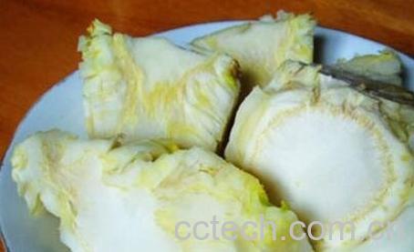 白菜根的功效与作用-0