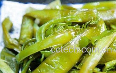 海菠菜的功效与作用-1