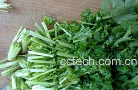 苔菜的营养价值与功效作用-0