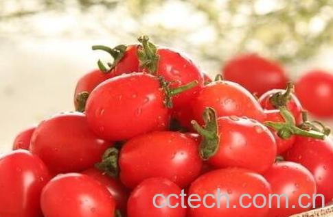 孕妇能不能吃小番茄 孕妇吃小番茄的好处和坏处-0