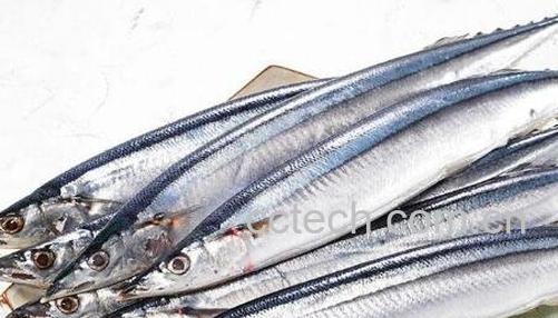 秋刀鱼为什么不能多吃 秋刀鱼的副作用-0