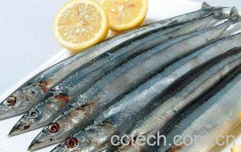 秋刀鱼为什么不能多吃 秋刀鱼的副作用-1