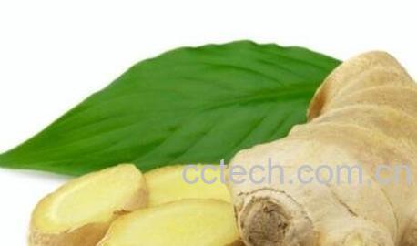 为什么晚上不能吃姜 晚上吃姜的危害-0