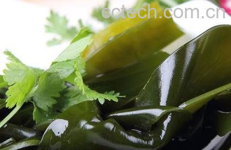 海带和海菜有什么区别-1