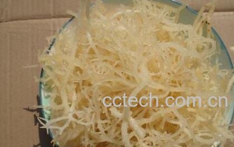 干的龙须藻能吃吗 龙须藻的吃法-0