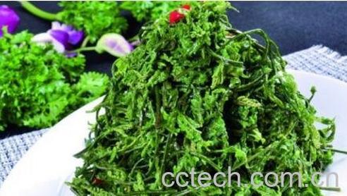 云龙菜的功效与作用-0