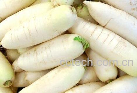白萝卜和胡萝卜能一起吃吗-0