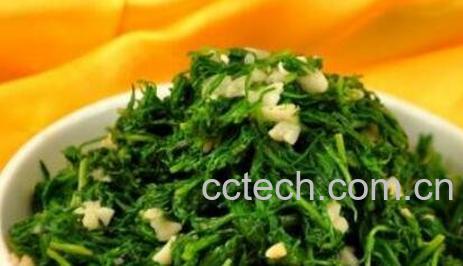 皇席菜如何吃 皇席菜的食用方法-1