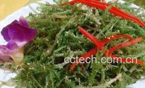 鹿角菜和珊瑚草的区别-0