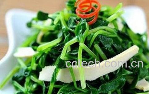 豌豆苗的营养价值与功效-0