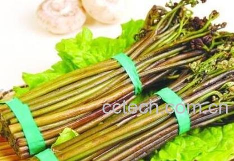 蕨菜和云龙菜的区别-0