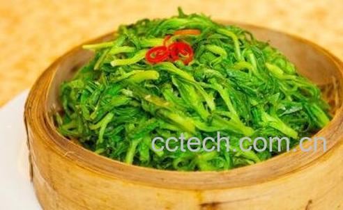 面条菜的食用方法和食用禁忌-1