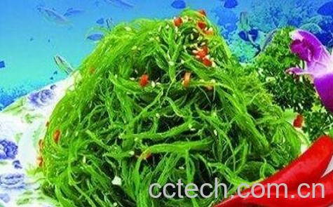 海发菜与干发菜的区别-0