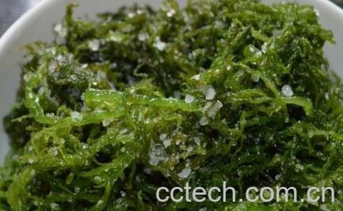 海发菜如何吃 海发菜的食用方法-0
