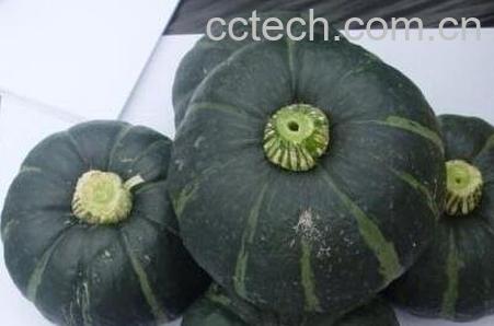 甜栗南瓜怎么做好吃-0