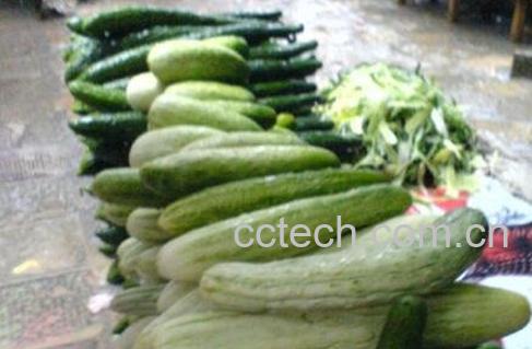 野黄瓜的吃法-0