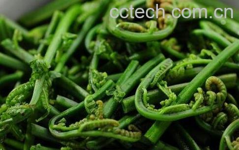 长寿菜有哪些 哪些菜常吃能长寿-1