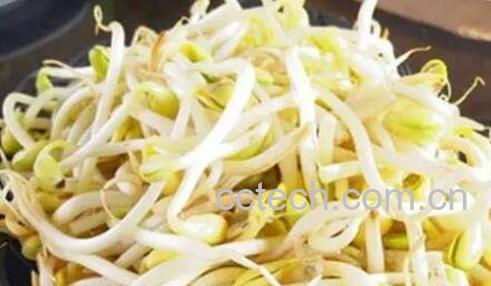 长寿菜有哪些 哪些菜常吃能长寿-0