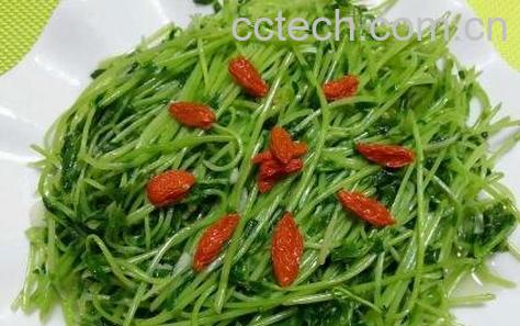 豌豆苗如何吃 豌豆苗的食用方法-0