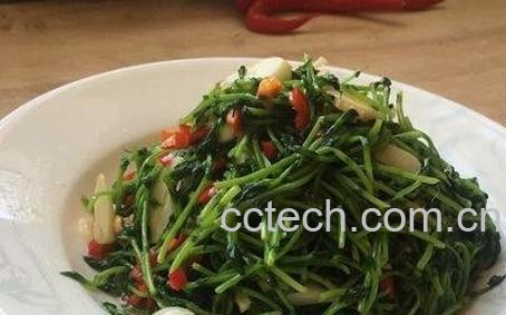 豌豆苗如何吃 豌豆苗的食用方法-1