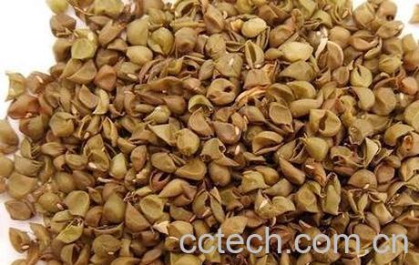 绿豆衣的功效与作用-0