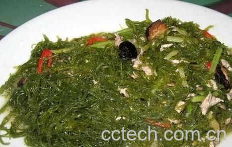 海发菜的功效与作用及营养价值-1