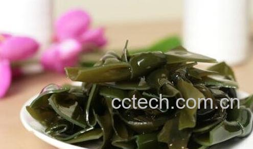  长寿菜是什么菜 长寿菜的功效与作用-0