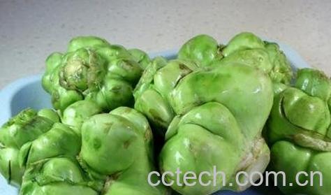 苤蓝和芥菜头的区别-1