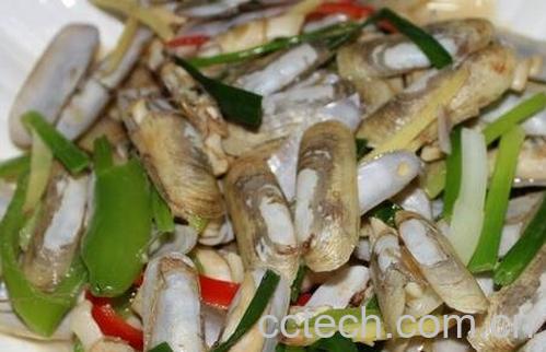 指甲螺的药用功效 指甲螺的营养价值-0