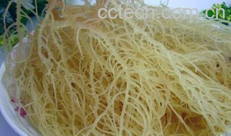 鹿角菜和龙须菜的区别-0