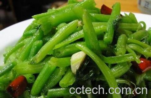 南瓜藤如何吃 南瓜藤的做法-0