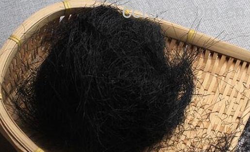 发菜的营养价值与功效-0