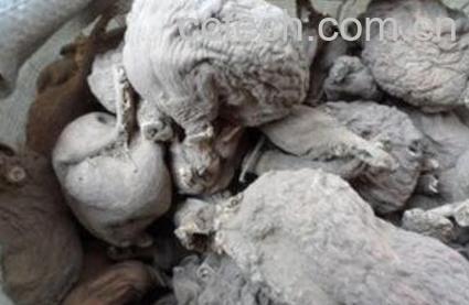 枯萝卜的作用与功效-1