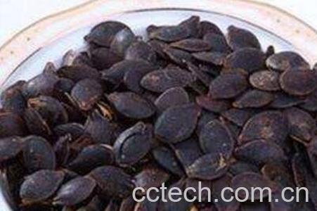 丝瓜子怎么做好吃 丝瓜子食用方法-0