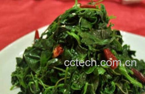 灰菜怎么吃 灰菜的家常做法-0