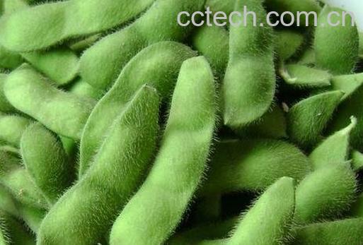 毛豆怎么煮 正确煮毛豆的步骤-1