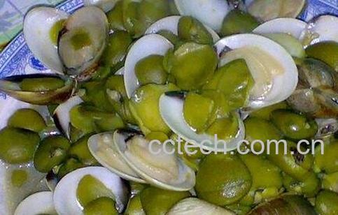 榄钱的功效和药用价值-0