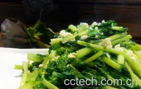 鸡冠菜的功效与作用-0