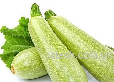 芦子的功效与作用-0