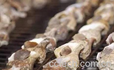 管角螺的营养价值-1