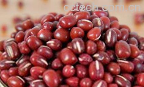 红豆板栗的功效与作用-0