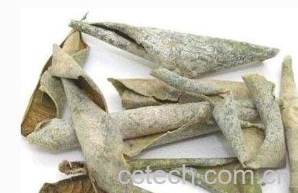 中药冬瓜皮的功效与作用及禁忌-0